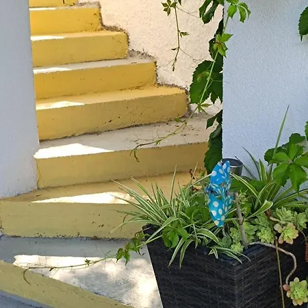 Semesterbostad Drescher *